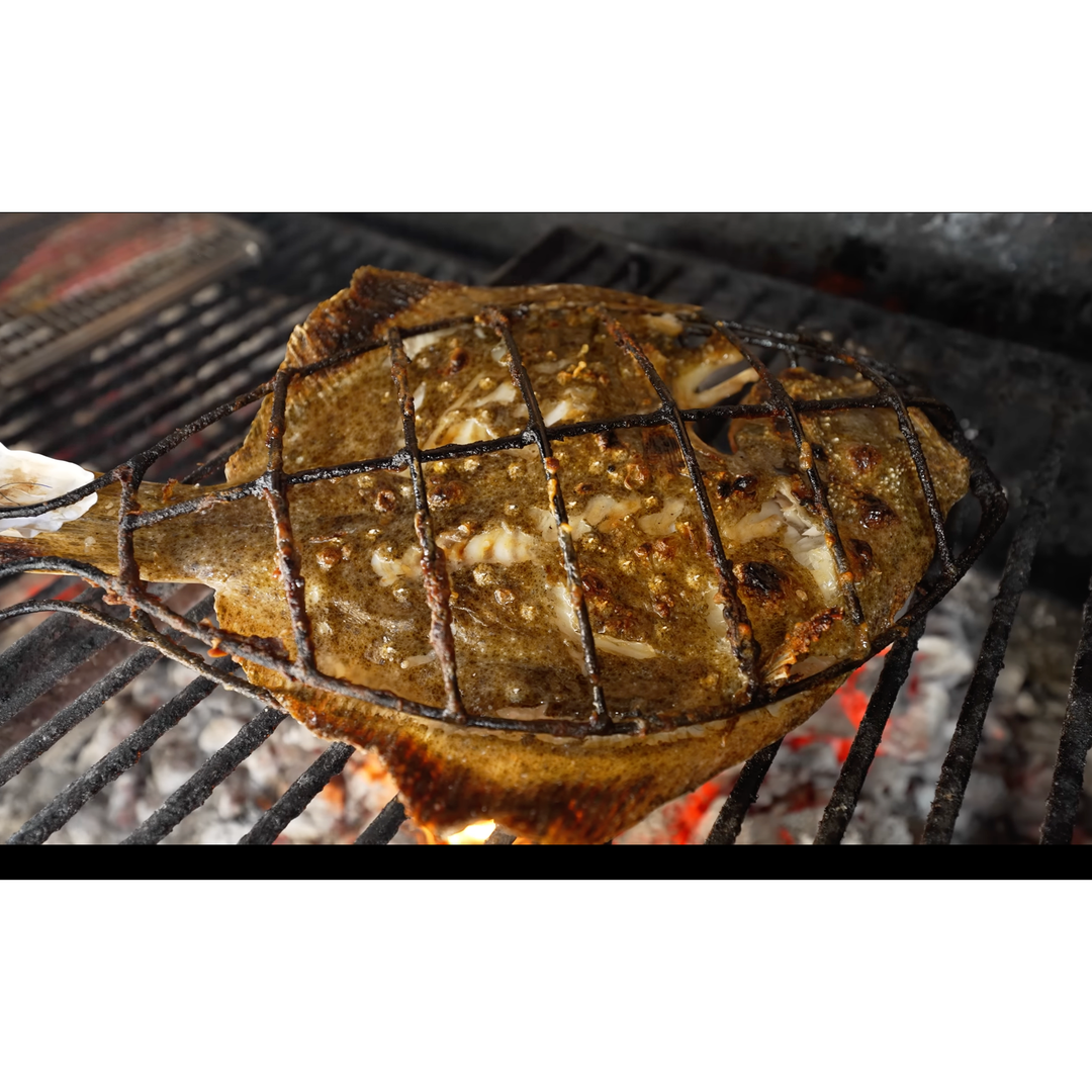 Filete De Rodaballo Europeo