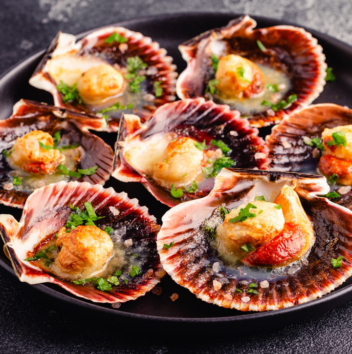 Coquille St Jacques in Shell