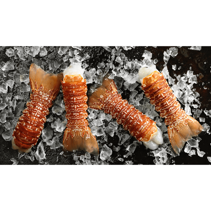 South African Lobster Tail (1 pc)