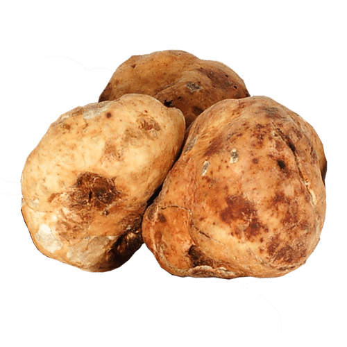 Trufa Blanca de Verano Bianchetto (Tuber albidum pico)